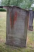 Regina Kahn von 1892