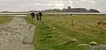 Der 500 m lange, mit Bruchstein gepflasterte Wanderweg am Strand von Kalø Vig und im Hintergrund ist Burgruine Kalø zu sehen.