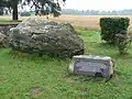 1. Jungingenstein