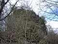 Blick auf die Ruine