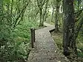 Lehrpfad