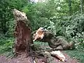 Die Kanzelbuche am 21. August 2001