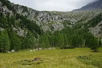 Blick im Oberlauf