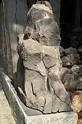 Flügellöwe SVr 1