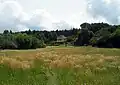 Villa Tannenhof, im Wald dahinter liegt der Tierpark