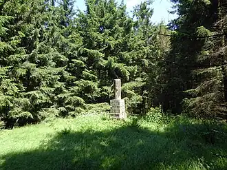 Alter trigonometrischer Punkt (Preußisches Steinpostament von 1878) im Bereich der Kasseler Kuppe. Der höchste Punkt der Kasseler Kuppe liegt ca. 400 m süd-westlich davon.