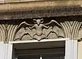 Nahaufnahme einer Fledermaus