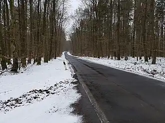 Bild vom Katzenbergpass