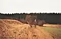 Bunkerhügel mit ehem. Stacheldrahtzaunanlage