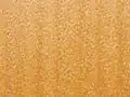 Holz eines Sumpf-Kauris