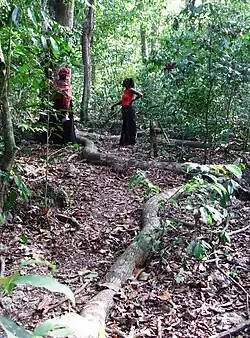 Heilige Kaya-Wälder der Mijikenda