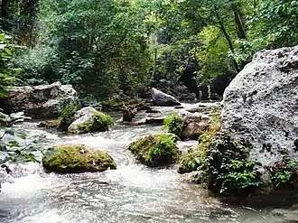 Kayaci-Tal