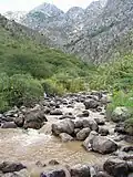 Gebirge bei Schymkent