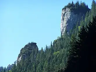 Blick vom Tal Dolina Kościeliska