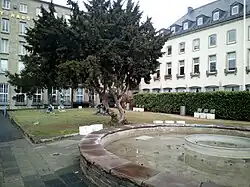 Kennedyplatz