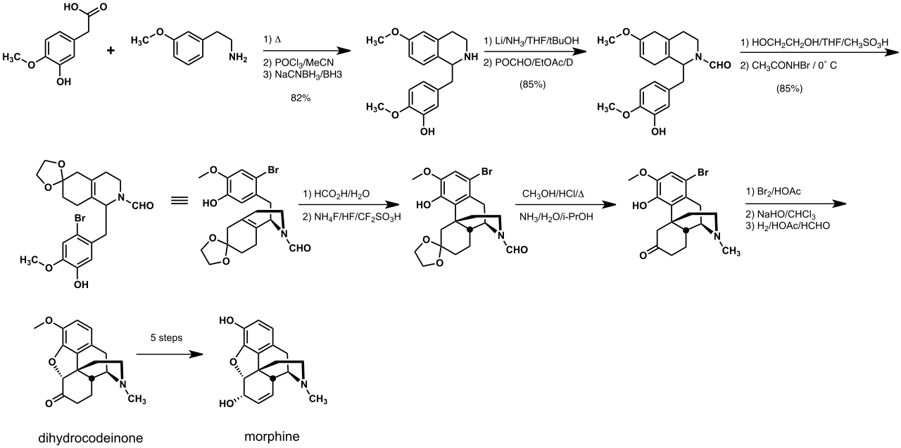 Rice-Morphinsynthese
