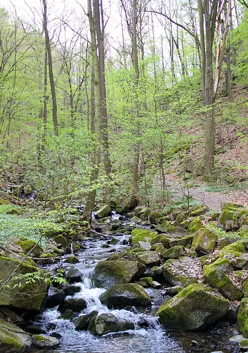 Keppgrund im Frühjahr
