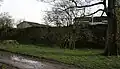 Die letzten Überreste des eingefriedeten Gartens der Burg 2008