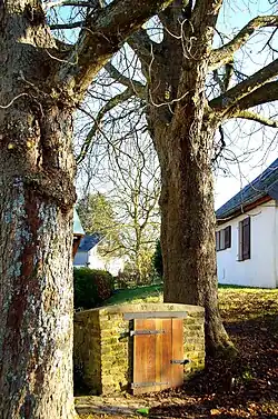 Brunnen