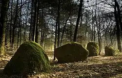 Steinreihen von Kersolan