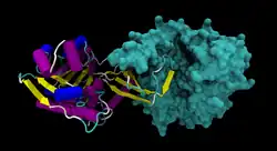 Ketohexokinase