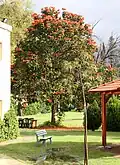 Park