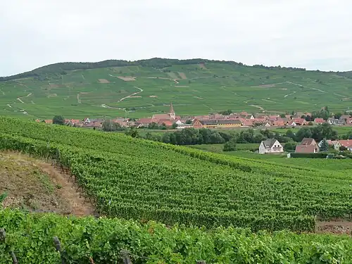 Die Lage Furstentum im Hintergrund der Gemeinde Kientzheim.