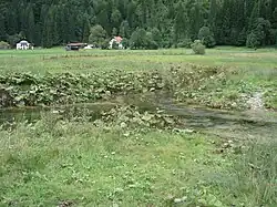 Zusammenfluss zweier Quellbäche bei Rahm