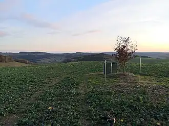 Blick ins Erzgebirge
