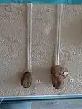 Klaffmuscheln Pleuromya uniformis, links und Pholadomya fidicula rechts