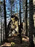 Klausenkopf, Gipfelbereich