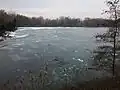 Kleewoog im Winter (2017)