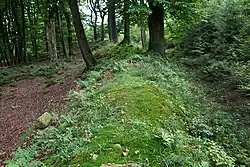 Wall Kleiner Hünenring (links der Innenbereich der Wallanlage)