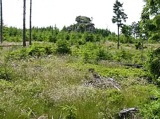 Kleiner Waldstein am Nordhang des Berges
