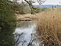 Kleinhöchstettenau
