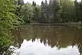 Klenzeweiher