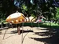 Kletterspinne