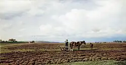Auf dem durchpflügten Acker, 1872