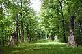 Marienthaler Kreuzweg