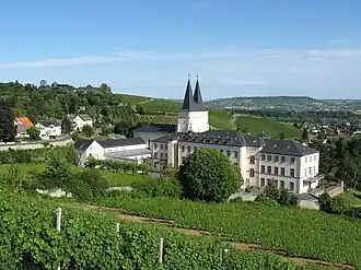 Neues Kloster Johannisberg; links: Ortsteil Berg, oben im Hintergrund: Schloss Johannisberg auf dem Johannisberg, rechts: Ortsteil Grund