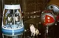 Hunde im Weltraum