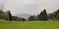 Blick vom Knüllfeld nach Steinbach-Hallenberg