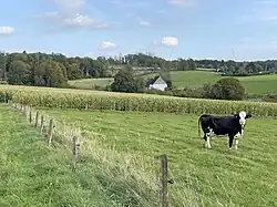 Knefelskamp aus westlicher Richtung