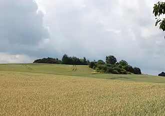 Der Kniel