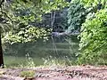 Der Knöpfelstaler Teich