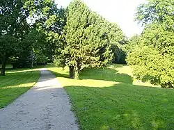 Knoops Park