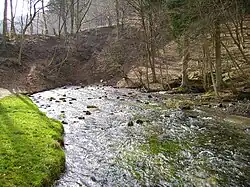 Ursprung des Schwarzen Kochers