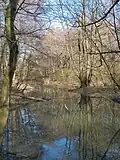 Kocks Loch 2013