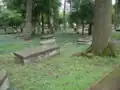 Gräber auf dem Geusenfriedhof