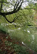 Kanal an der Clarenbachstraße